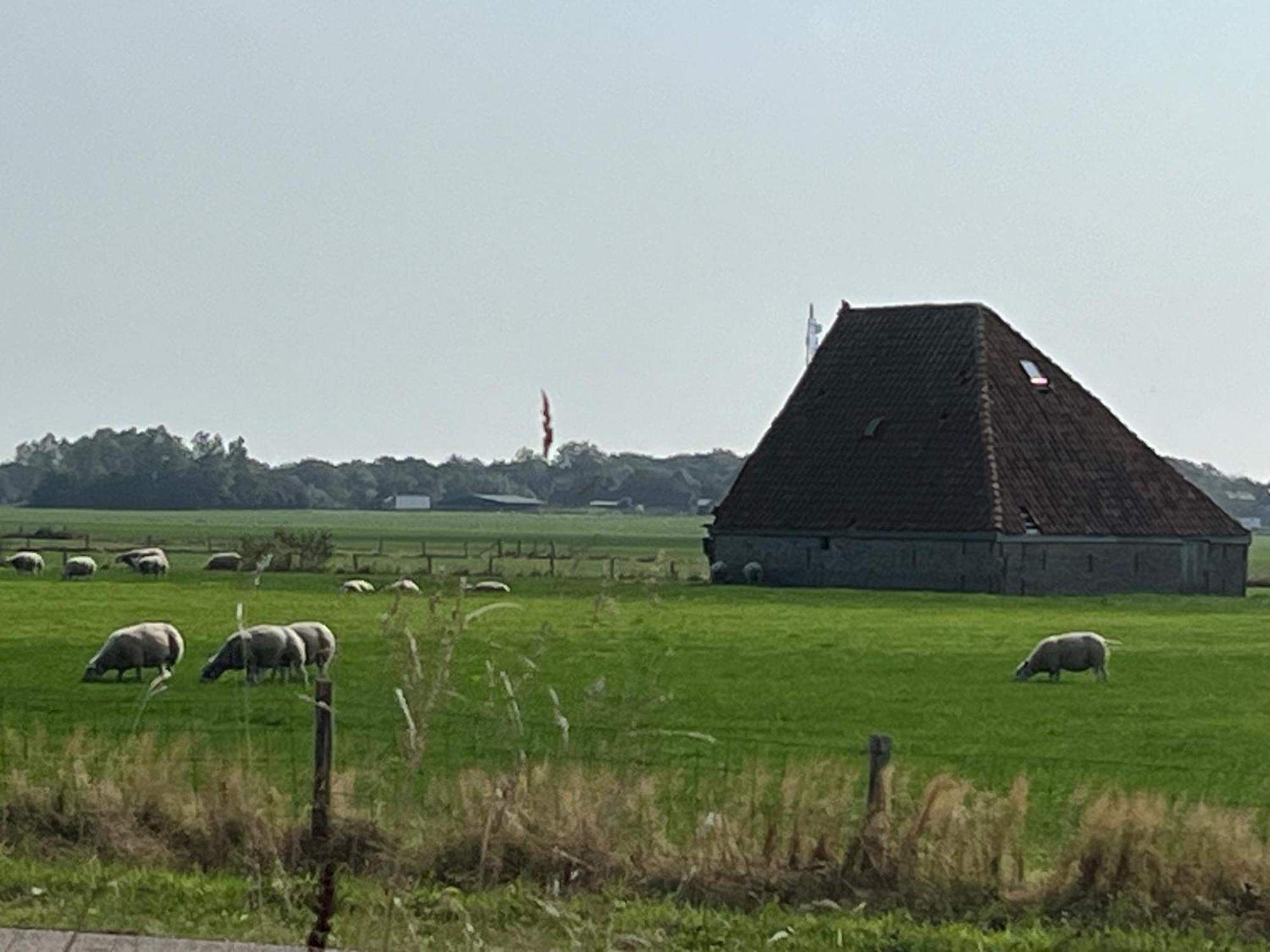 Gastsuite Het Duinroosje Met Hottub Op Het Prive Terras! Den Burg Exterior foto